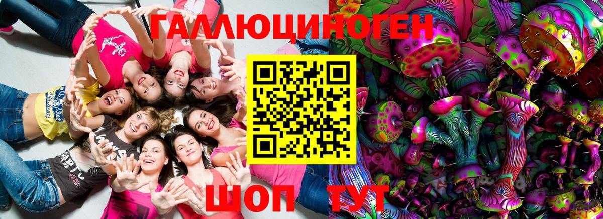 Галлюциногенные грибы Psilocybine cubensis  Вход с VPN  что такое   Россия 