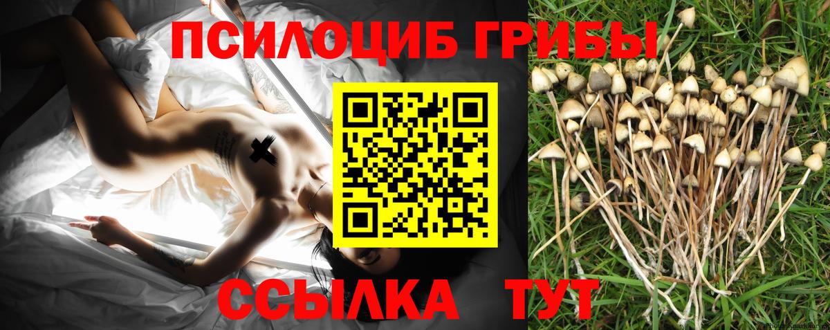 Галлюциногенные грибы мицелий Россия